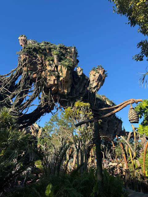 Montañas flotantes de Pandora en Animal Kingdom